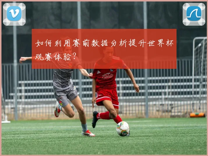 如何利用赛前数据分析提升世界杯观赛体验？