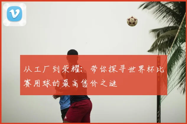 从工厂到荣耀:带你探寻世界杯比赛用球的最高售价之谜