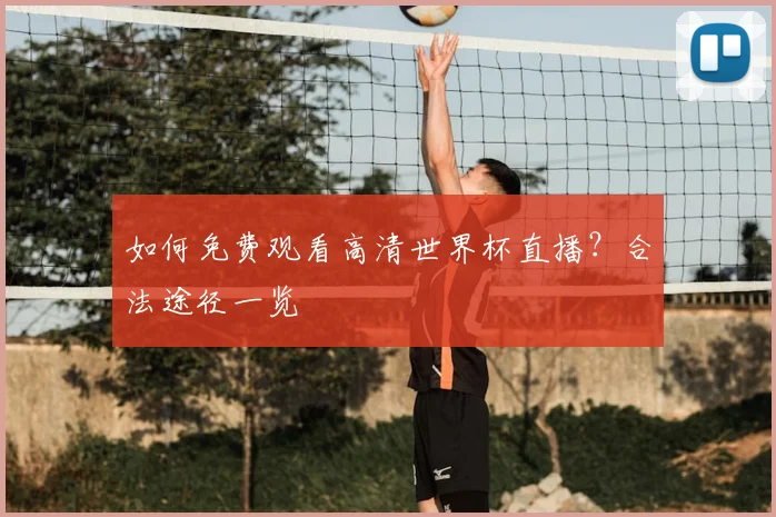 如何免费观看高清世界杯直播？合法途径一览