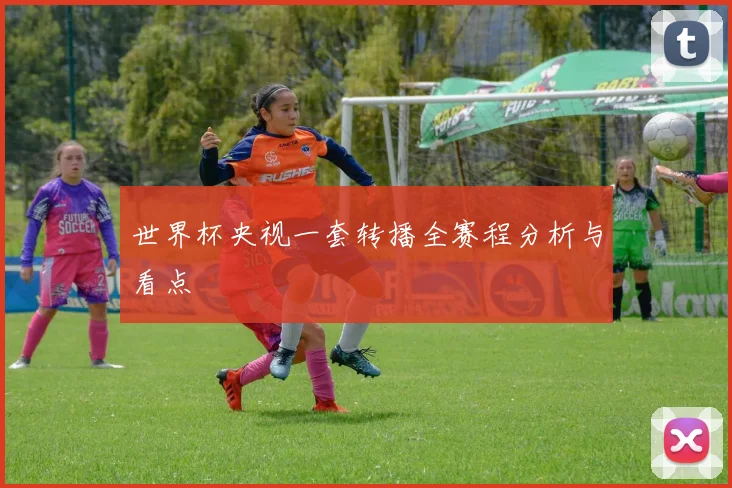 世界杯央视一套转播全赛程分析与看点