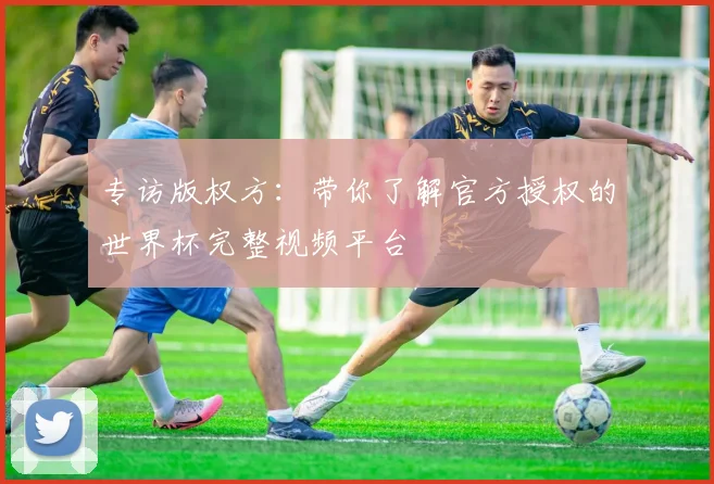 专访版权方:带你了解官方授权的世界杯完整视频平台