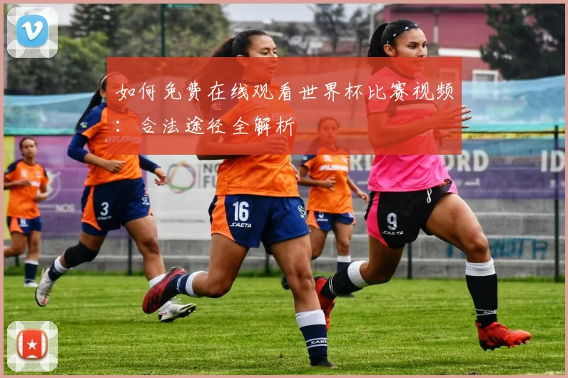 如何免费在线观看世界杯比赛视频：合法途径全解析