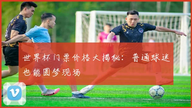 世界杯门票价格大揭秘：普通球迷也能圆梦现场