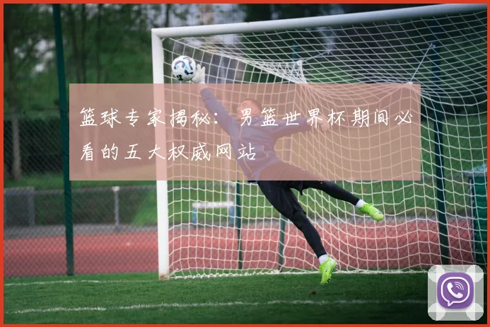 篮球专家揭秘：男篮世界杯期间必看的五大权威网站